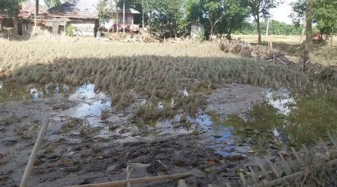 খাগড়াছড়িতে চতুর্থ দফার বন্যায় বেশি ক্ষতিগ্রস্থ হয়েছে  কৃষক