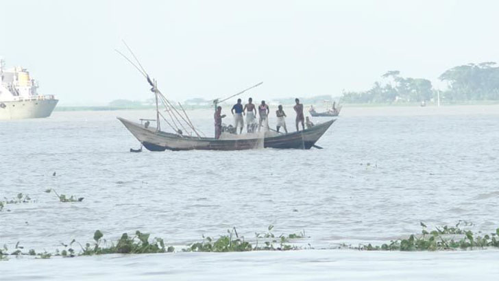 মেঘনা-তেঁতুলিয়ায় ইলিশের জন্য হাহাকার